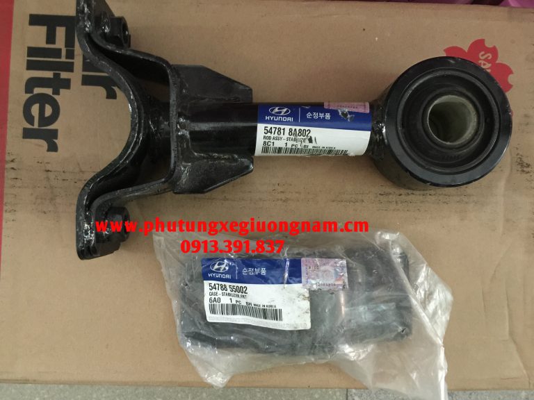 24-cay-chong-cung-truoc-space-truc-giang-cau-truoc-space