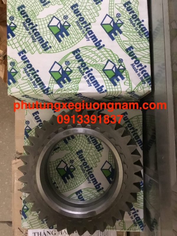 31EF2A9F-80F7-4EB3-B63B-F7D50CB574A5-768×1024 (1)